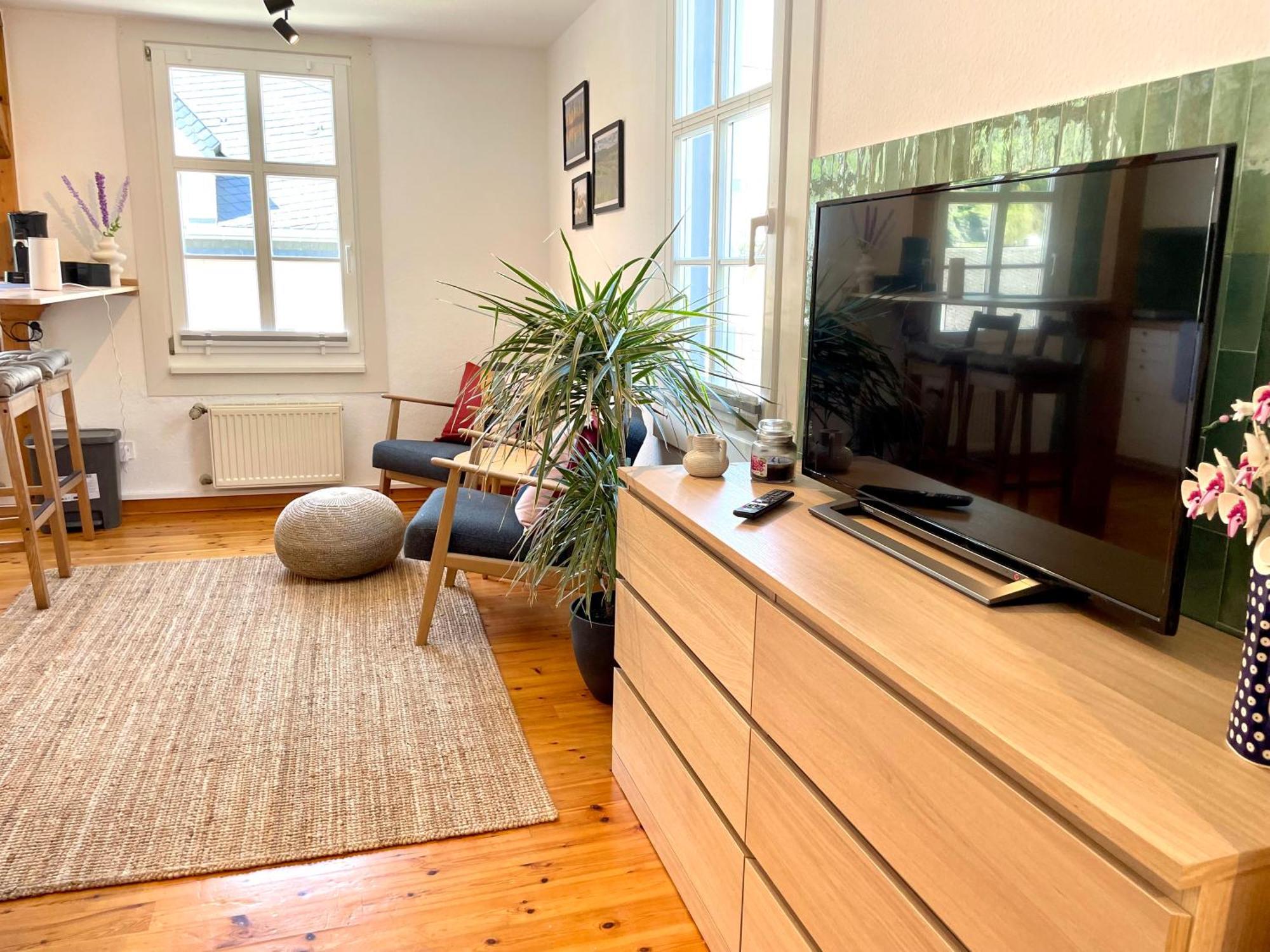 Riversidemosel Burg Free Netflix Primevideo Ebikeparking Apartment *